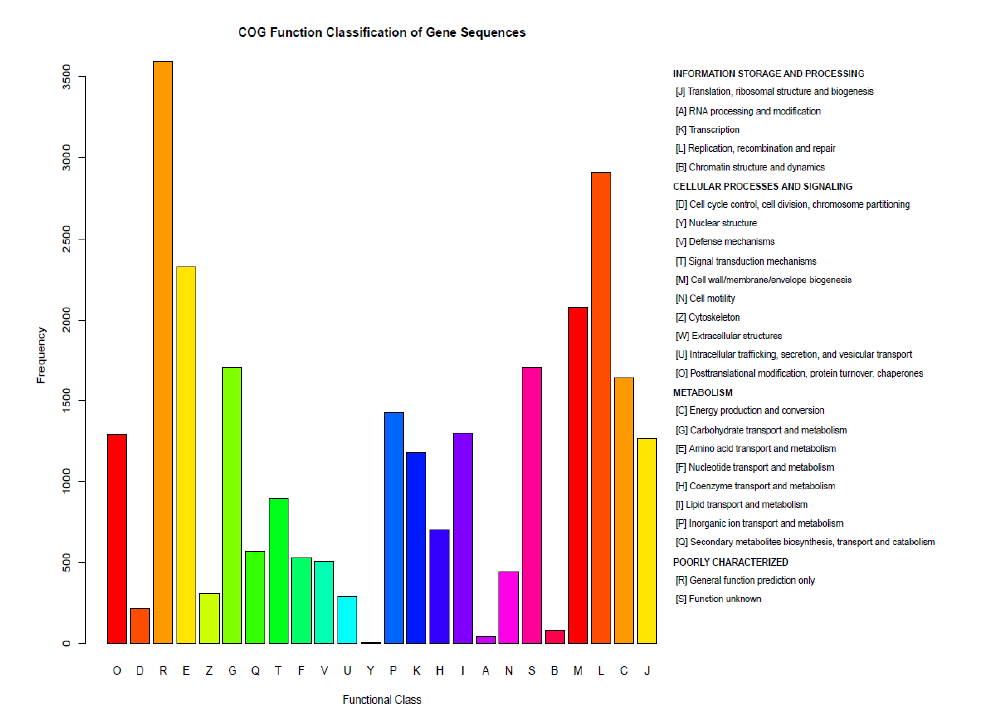 metagenome-cog