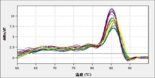 目的基因的溶解曲线